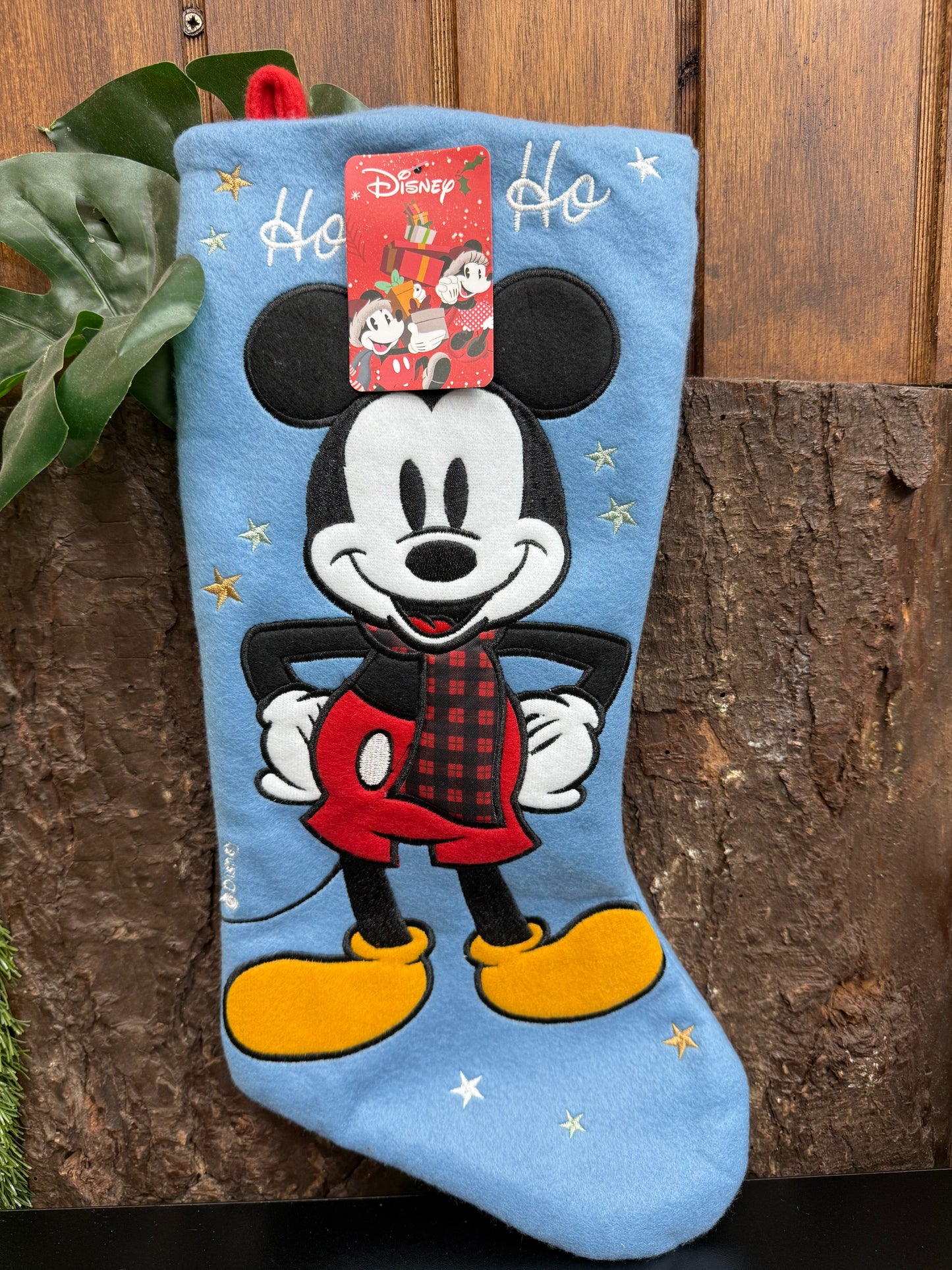 BOTA DE NAVIDAD DISNEY