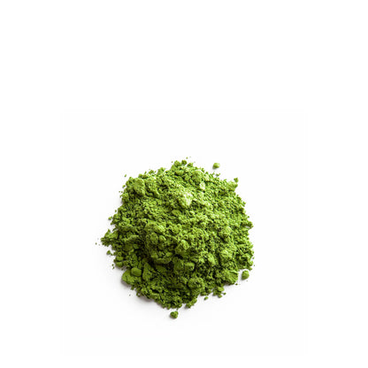 MATCHA JAPONÉS PURO 35GR ADAGIO