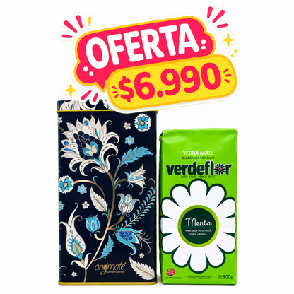 PACK YERBATERA + VERDEFLOR MENTA 500GR