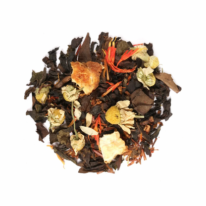 TE DOYPACK LEO 57 GR ADAGIO